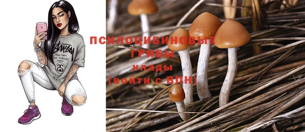 скорость Баксан
